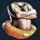 Avatar von Tim_Struppel